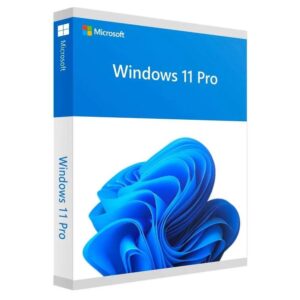 Microsoft WINDOWS 11 PROFESSIONAL